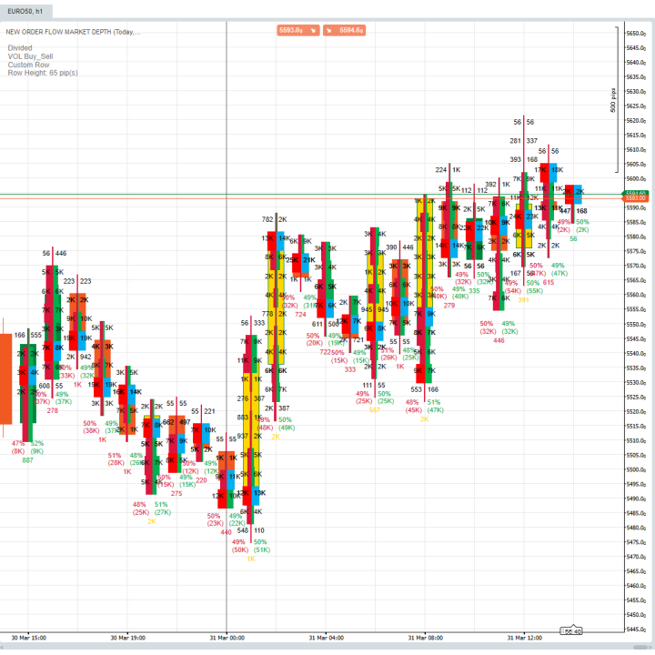 Datarum Algorithmica | Professional Order Flow Market Depth Pro | Footprint & DOM