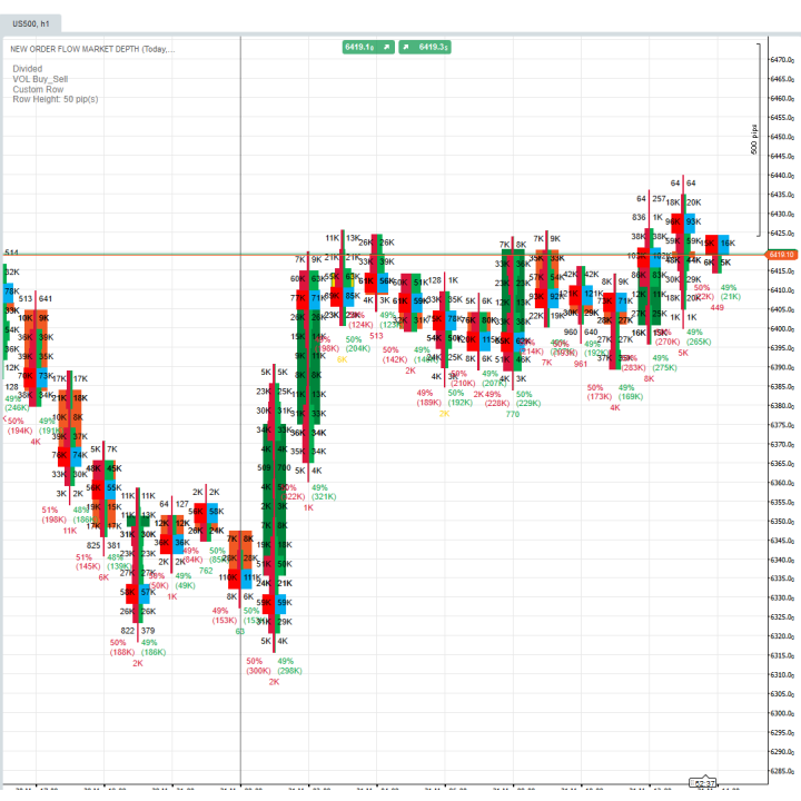 Datarum Algorithmica | Professional Order Flow Market Depth Pro | Footprint & DOM